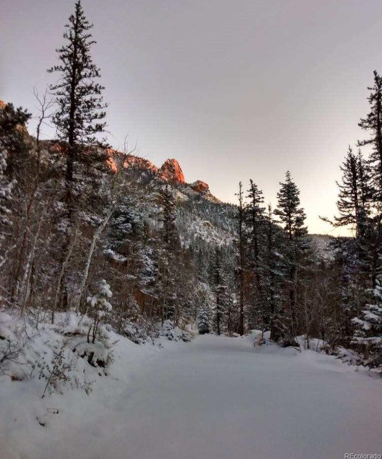 16169 State Hwy 96, Horn Creek, CO 81252