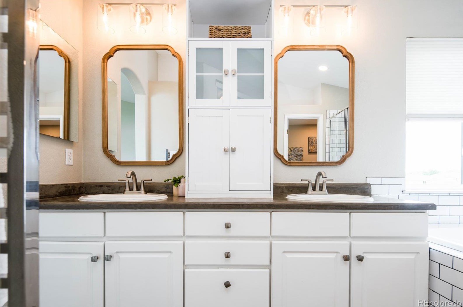 9046 Sanderling Way, Littleton CO 80126-5270 exterior