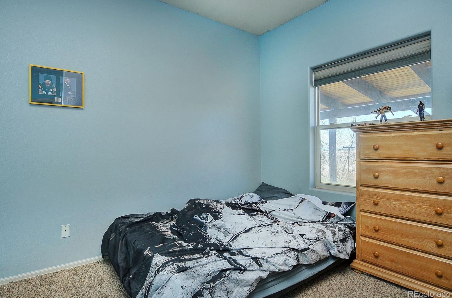 122 Red Tail Blvd, Buena Vista CO  81211-2207 exterior