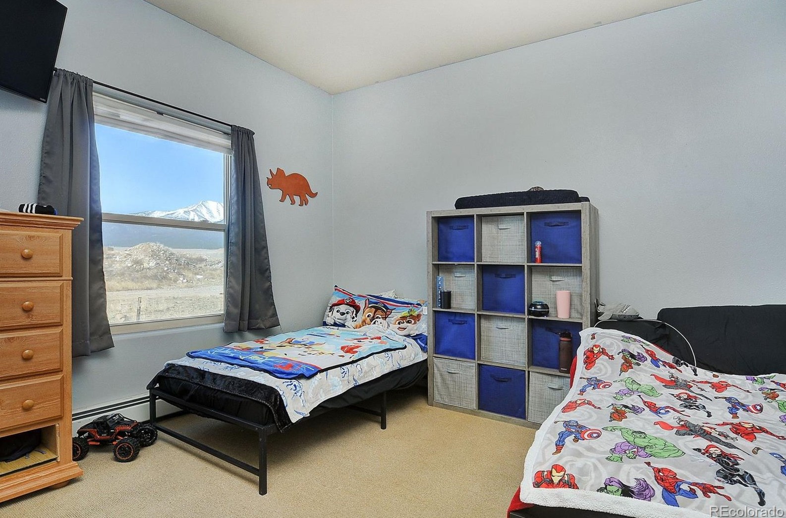 122 Red Tail Blvd, Buena Vista CO  81211-2207 exterior