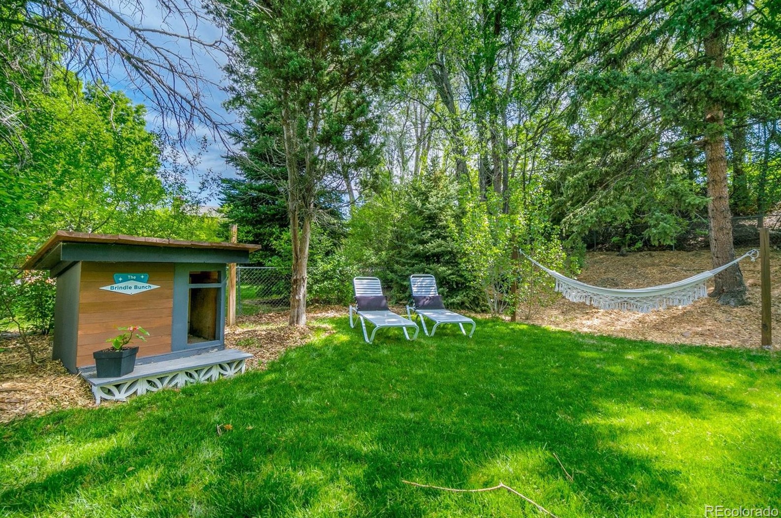 6338 Acoma St, Littleton CO 80120-3409 exterior