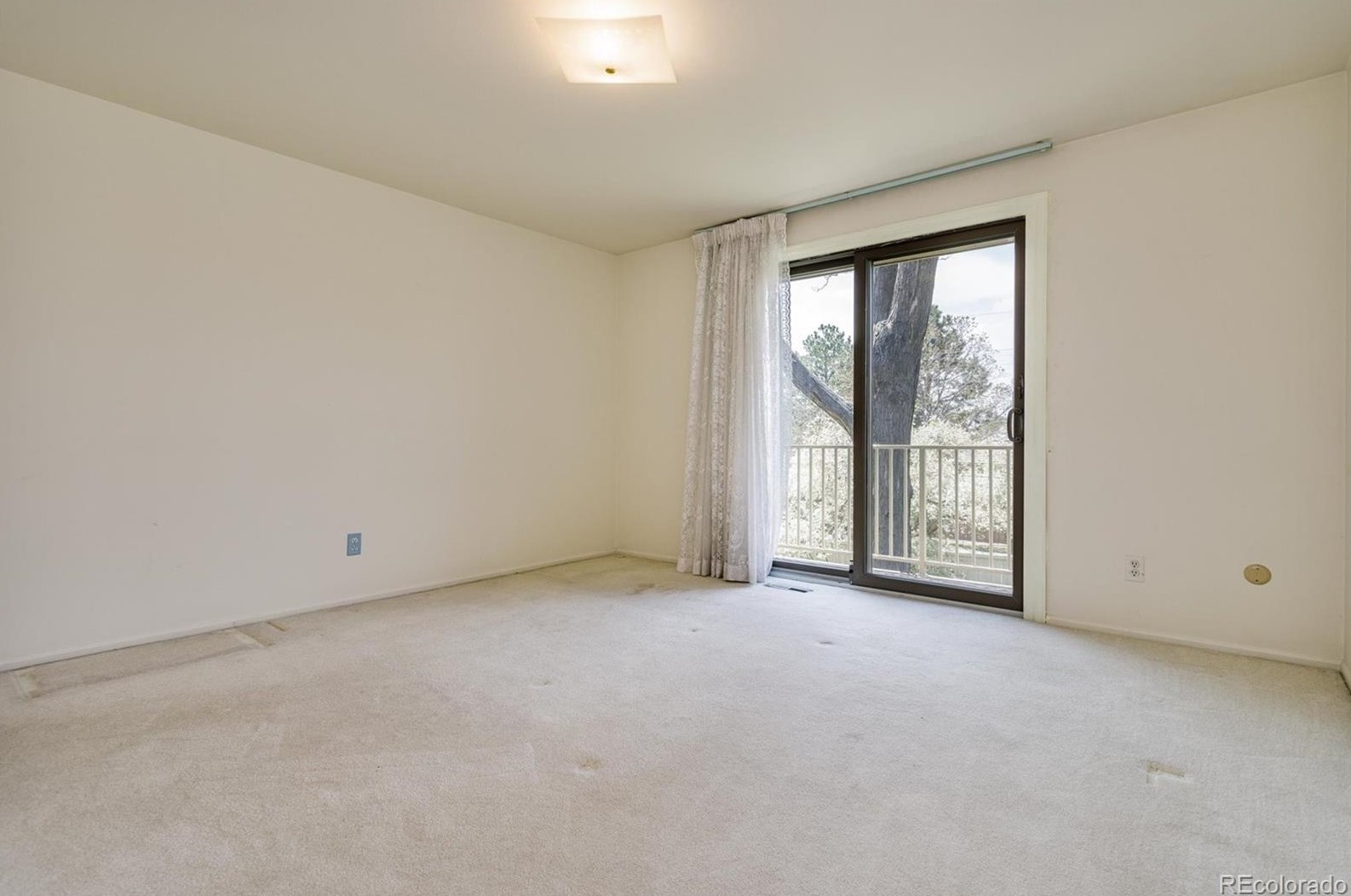 6483 Sycamore St, Littleton CO 80120-3036 exterior