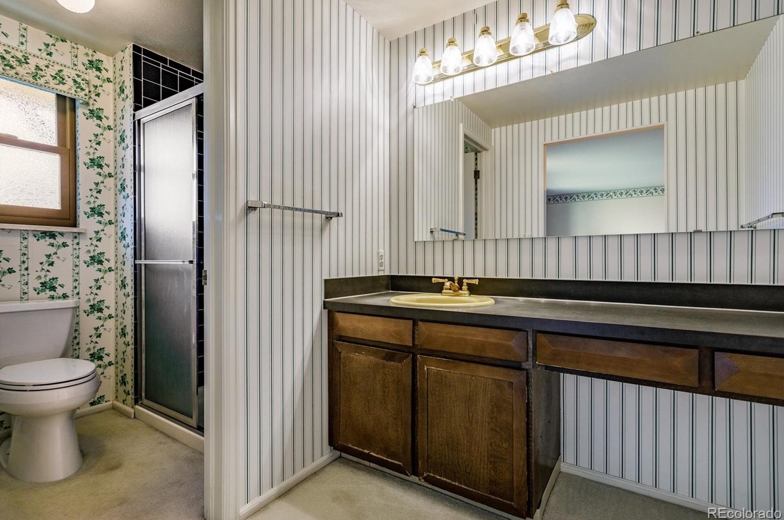 6483 Sycamore St, Littleton CO 80120-3036 exterior