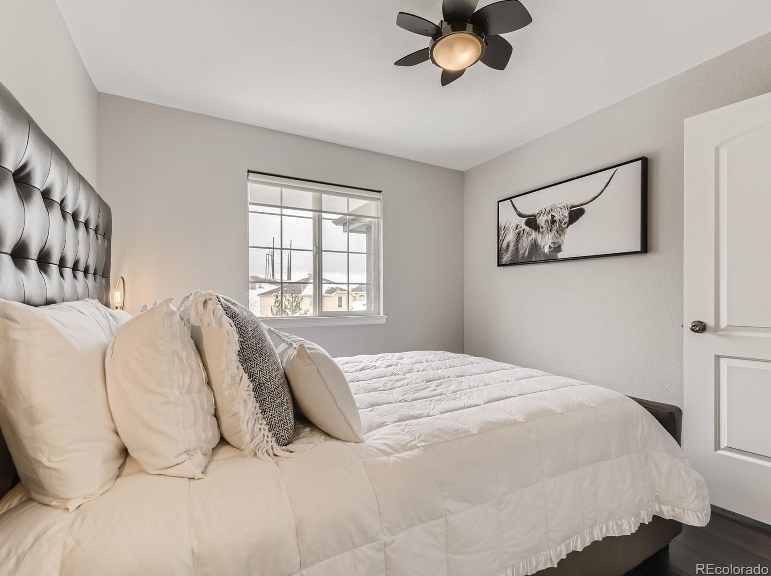 7224 Serena Dr, Castle Rock CO  80108-8106 exterior