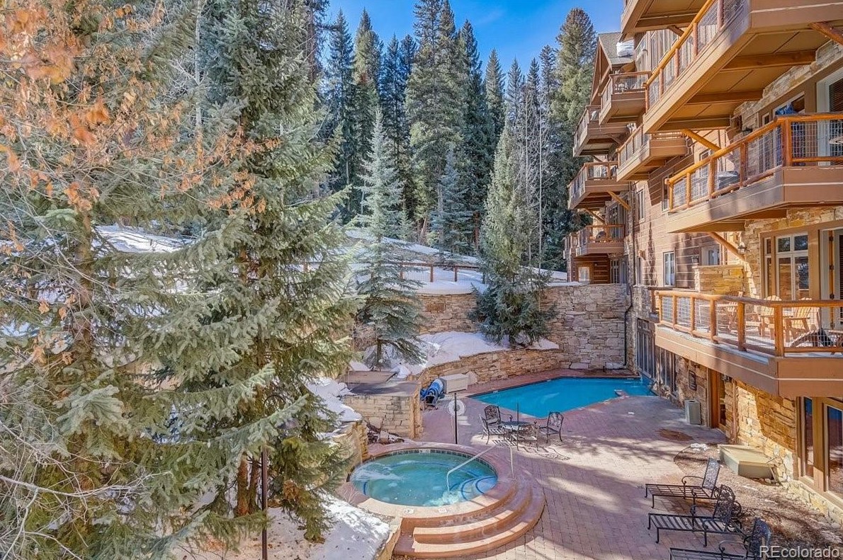 224 Trailhead Dr #3074, Montezuma, CO 80435