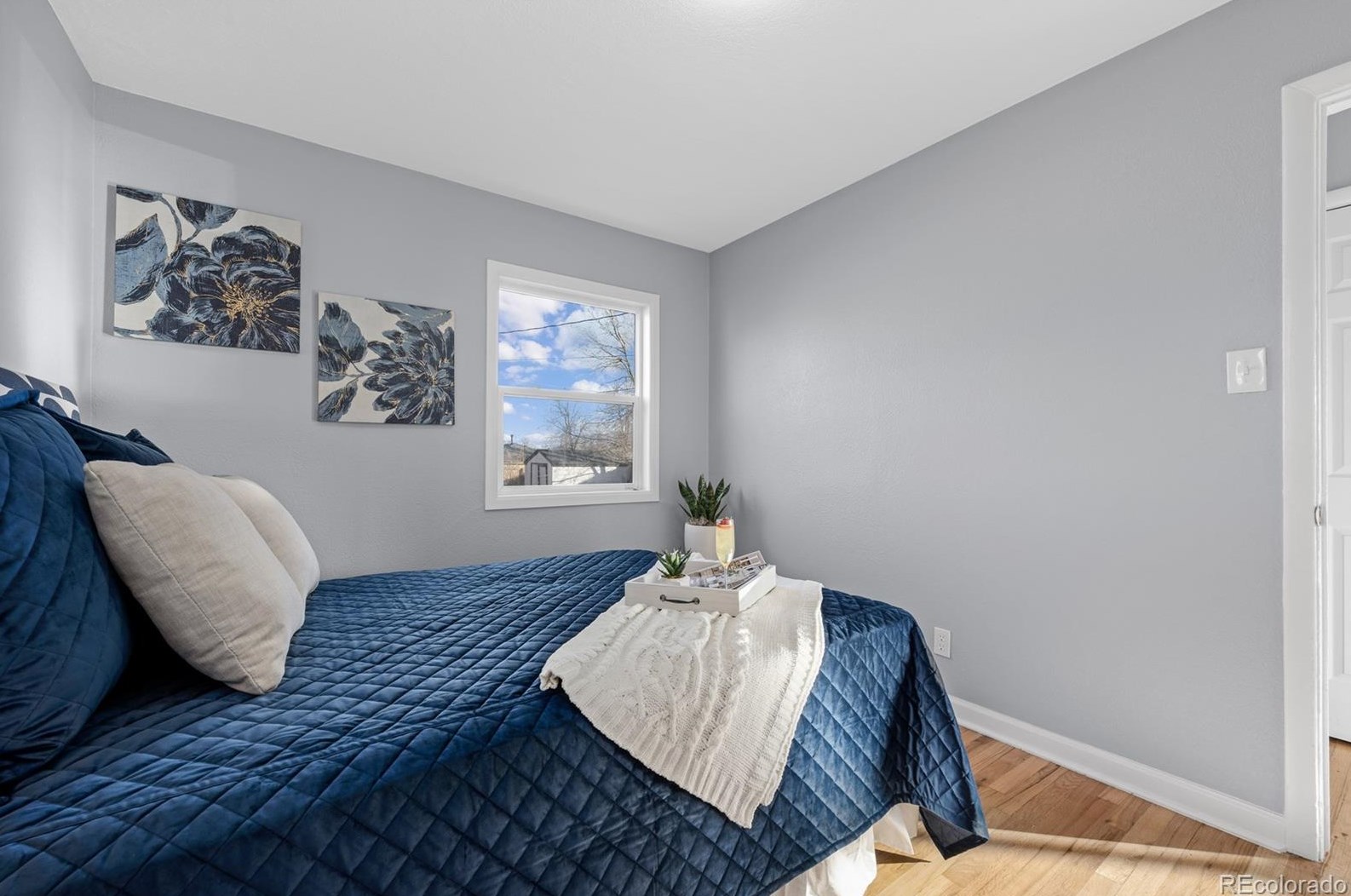 1076 Raleigh St, Denver CO  80204-2956 exterior