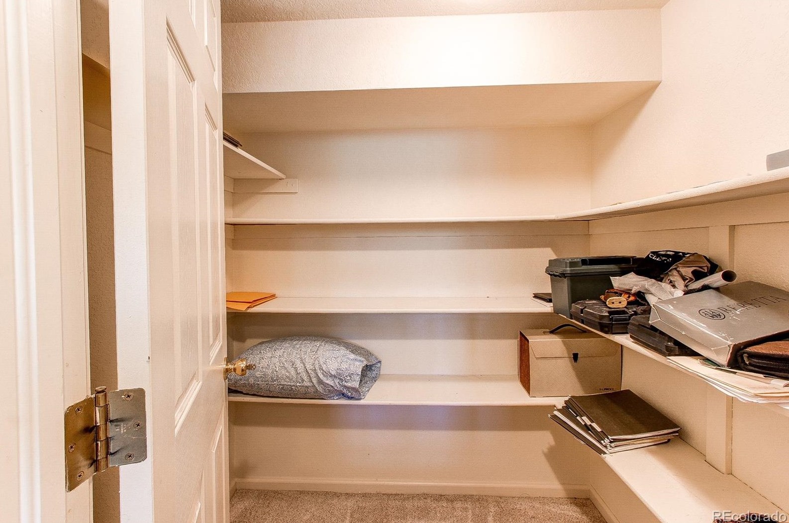 6543 Big Horn Trl, Littleton CO 80125-9045 exterior