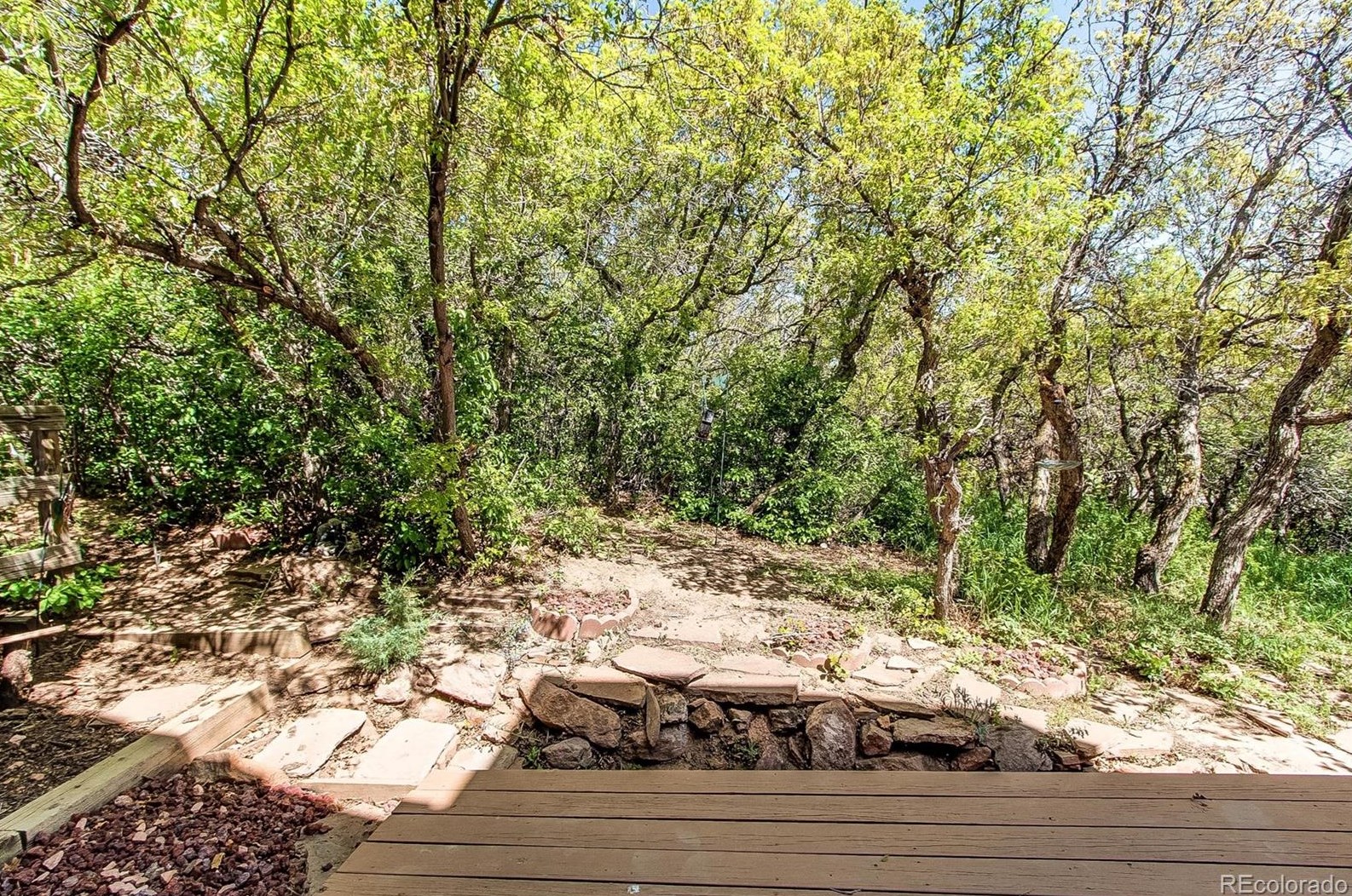 6543 Big Horn Trl, Littleton CO 80125-9045 exterior