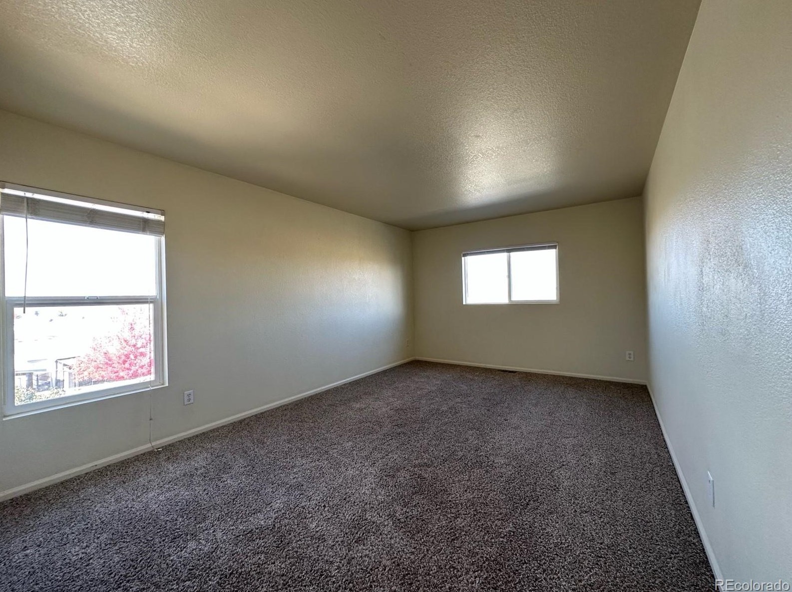 7664 Brown Bear Ct, Littleton CO  80125-8848 exterior