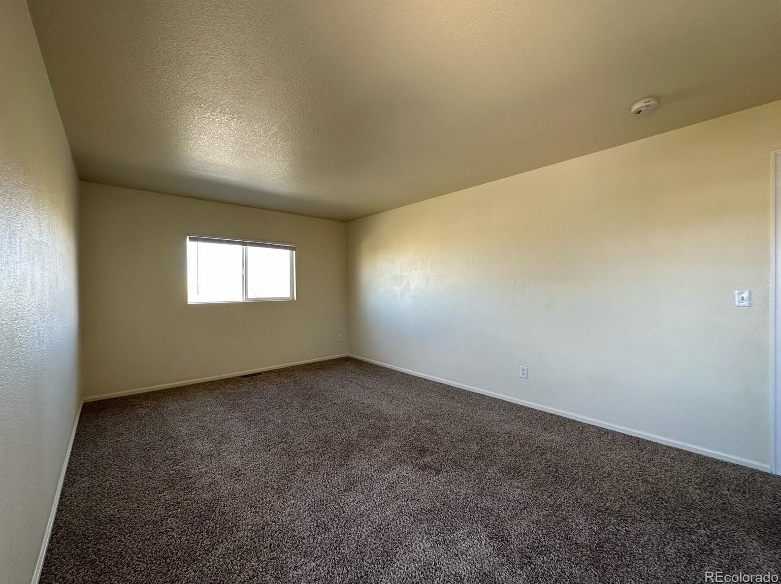 7664 Brown Bear Ct, Littleton CO  80125-8848 exterior