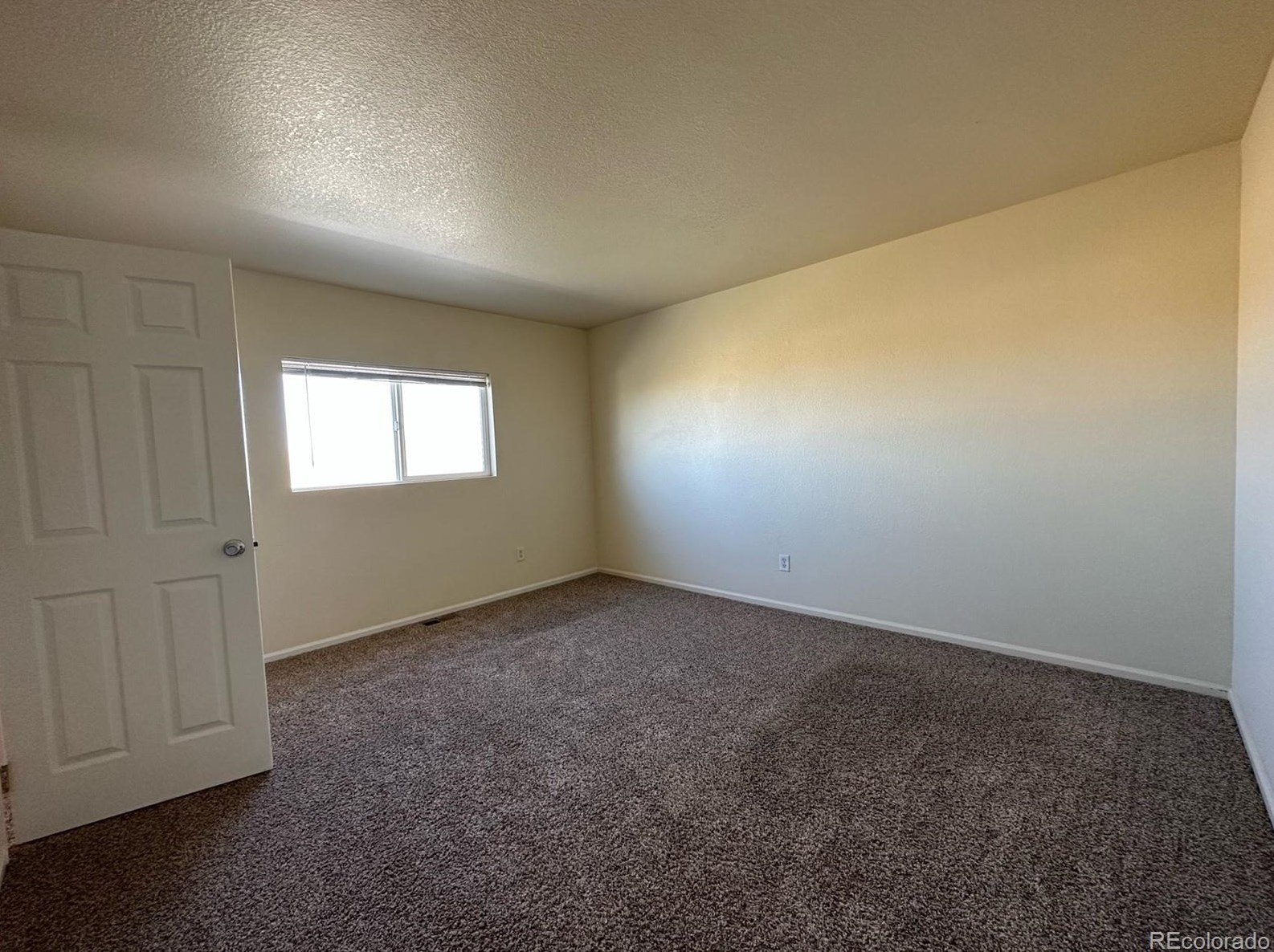 7664 Brown Bear Ct, Littleton CO  80125-8848 exterior