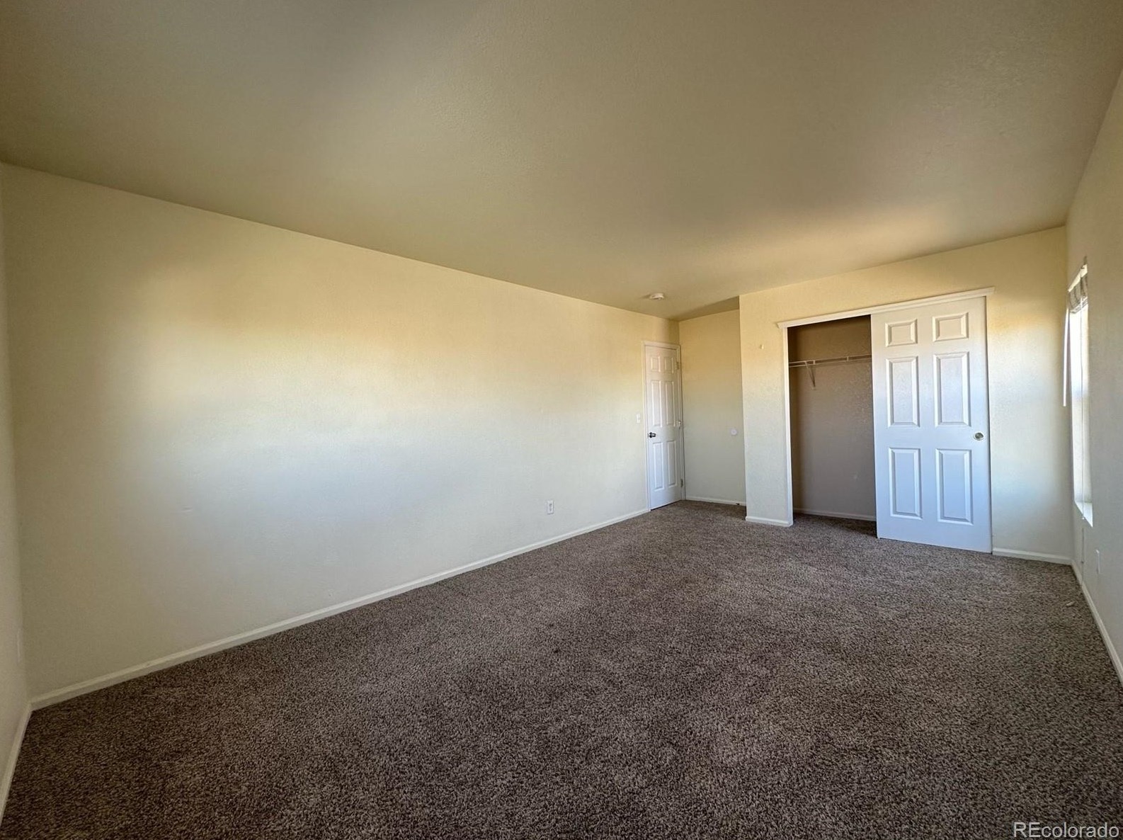 7664 Brown Bear Ct, Littleton CO  80125-8848 exterior