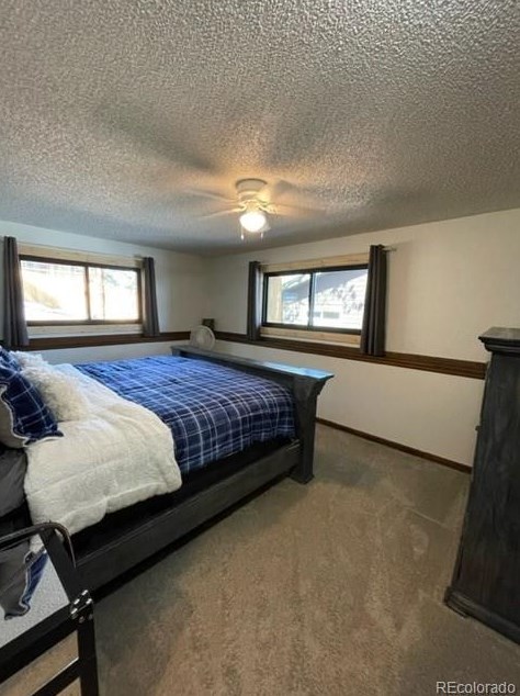 547 Birch Ave, Estes Park CO  80517-7607 exterior