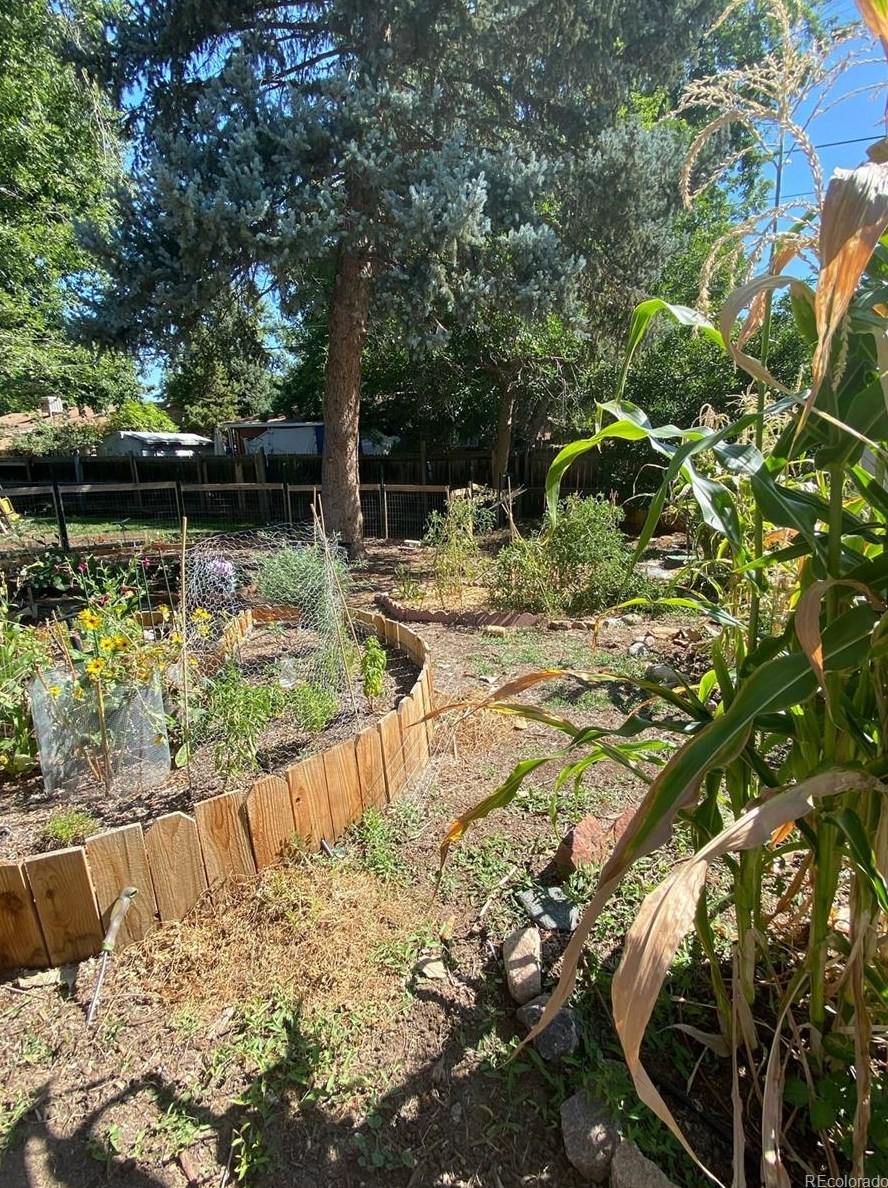 6728 Newman St, Arvada CO  80004-1444 exterior