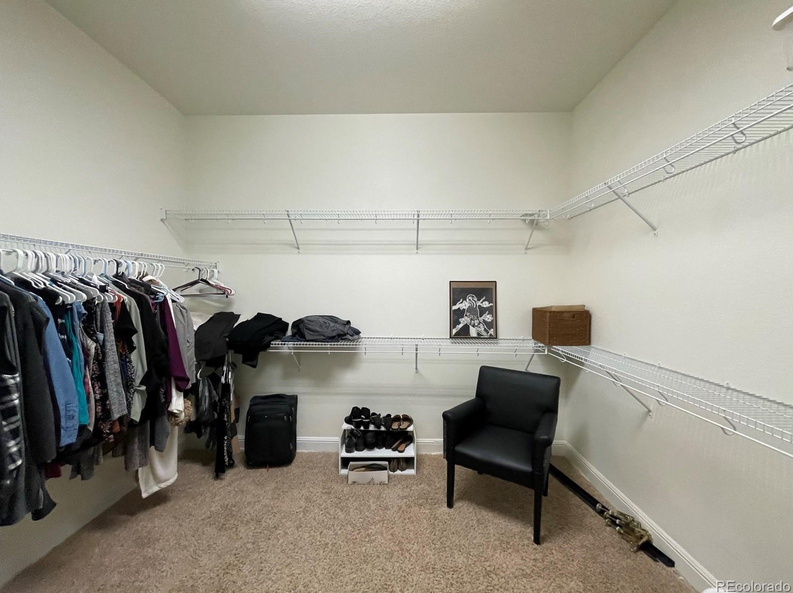 9179 Flora St, Arvada CO  80005-1420 exterior