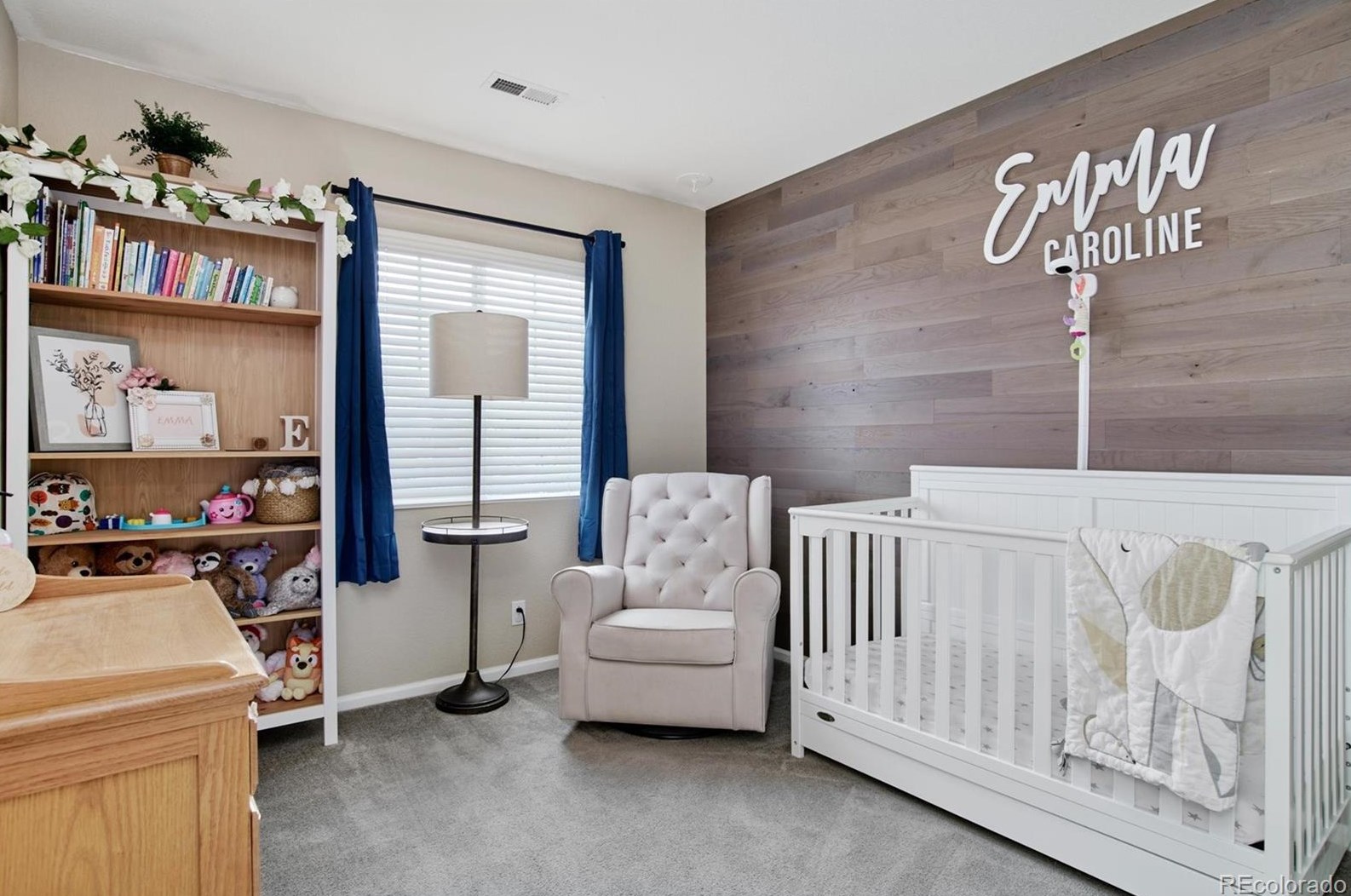 6129 Turnstone Pl, Castle Rock CO  80104-5273 exterior