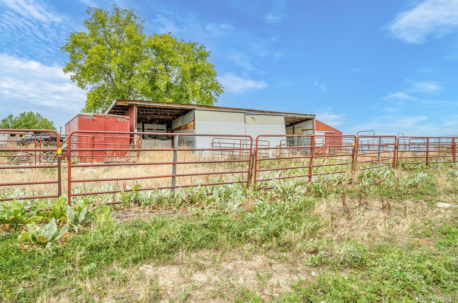 8870 Indiana St, Arvada CO  80007-8210 exterior