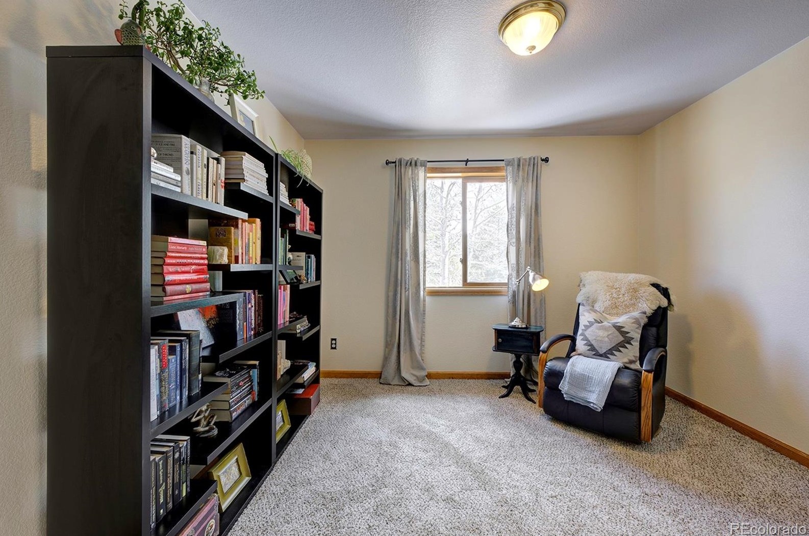 454 Conifer Dr, Bailey CO 80421-1886 exterior