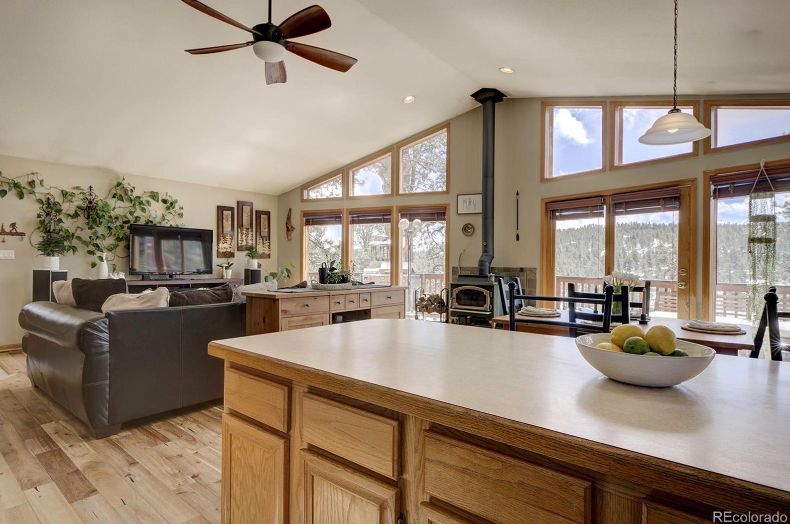 454 Conifer Dr, Bailey CO 80421-1886 exterior