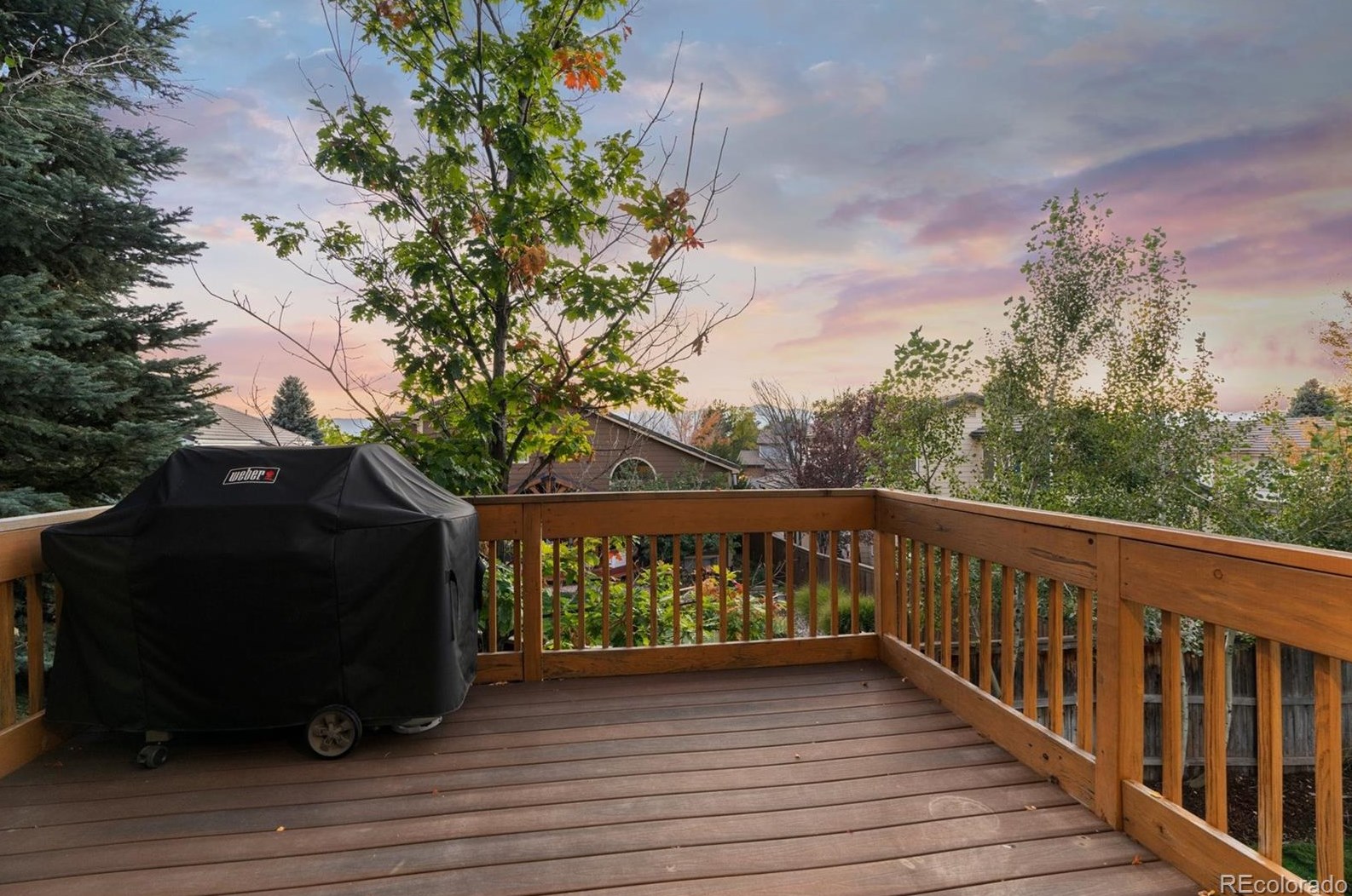 3354 White Oak St, Littleton CO 80129-6307 exterior