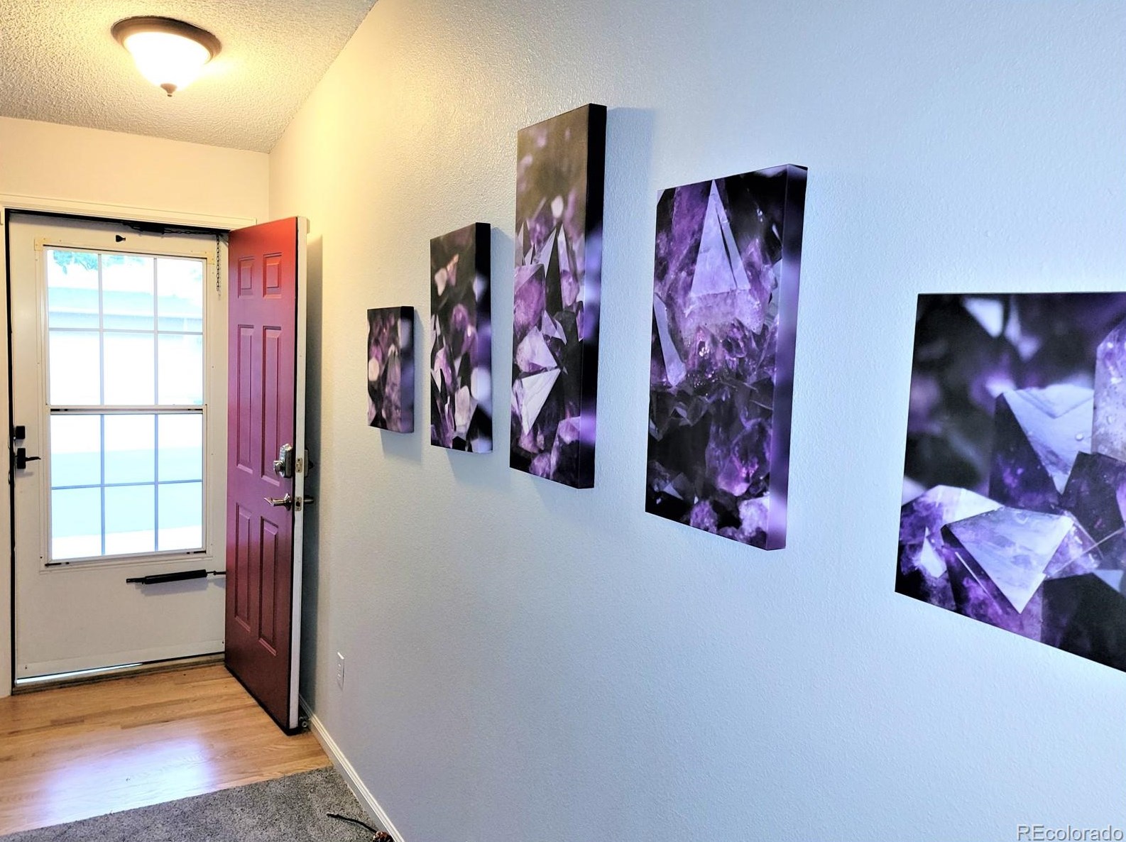 10523 Hyacinth Pl, Littleton CO  80129-4685 exterior