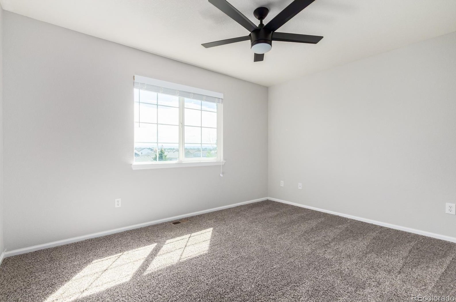 19 Peabody St, Castle Rock CO  80104-8812 exterior