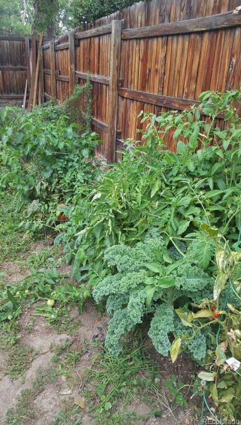 2858 Peakview Cir, Littleton CO 80121-3252 exterior