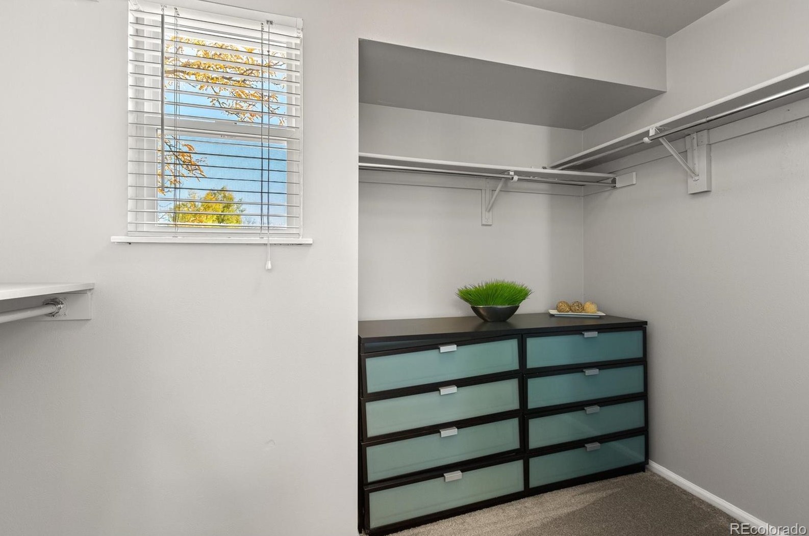 8858 Quarto Ave, Littleton CO 80128-4269 exterior