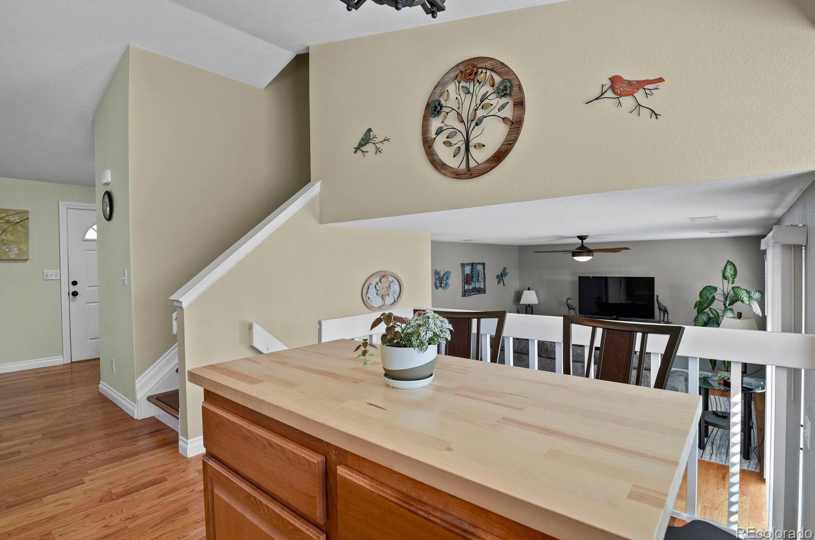 5520 Youngfield St, Littleton CO  80127-5200 exterior