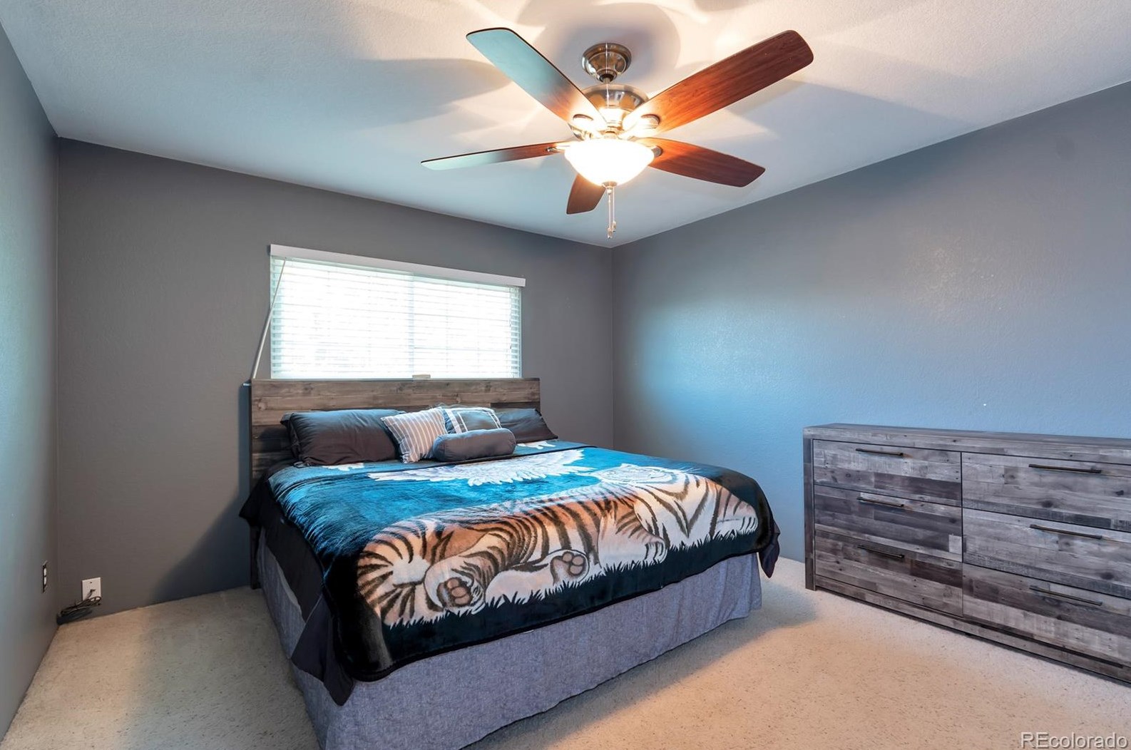 4675 Odessa St, Denver CO  80249-8087 exterior