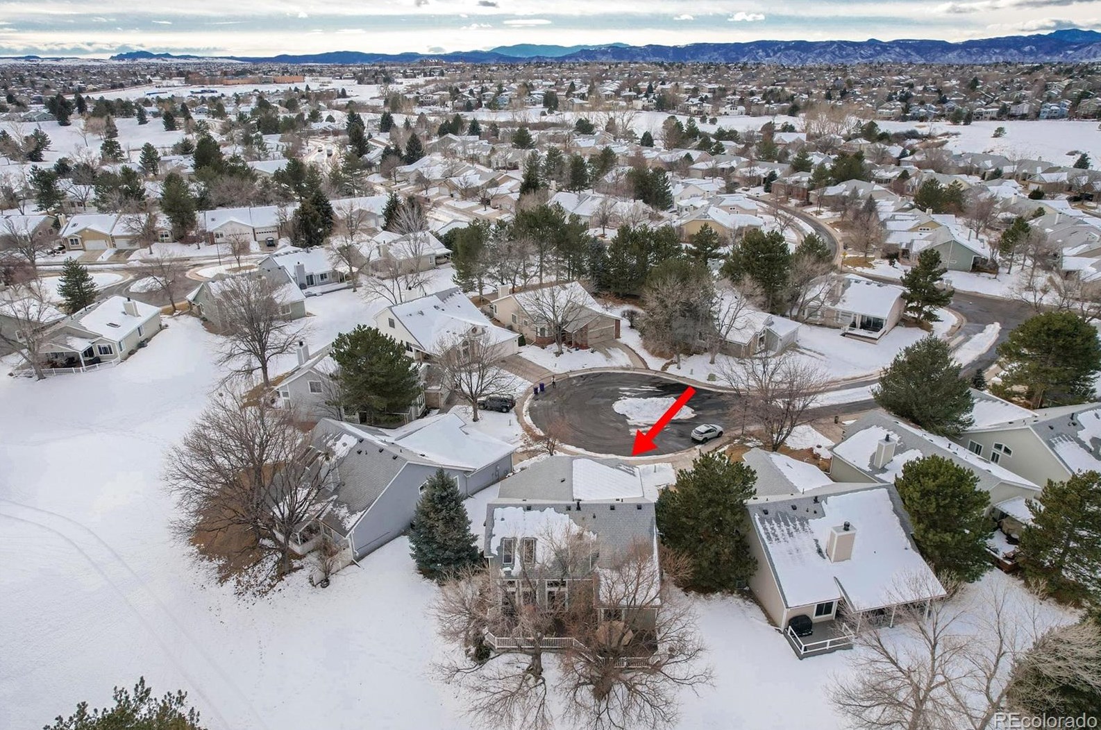 13 Aldershot Ct, Littleton CO  80130-3900 exterior