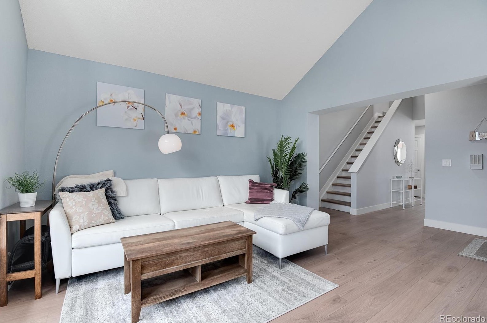 13 Aldershot Ct, Littleton CO  80130-3900 exterior