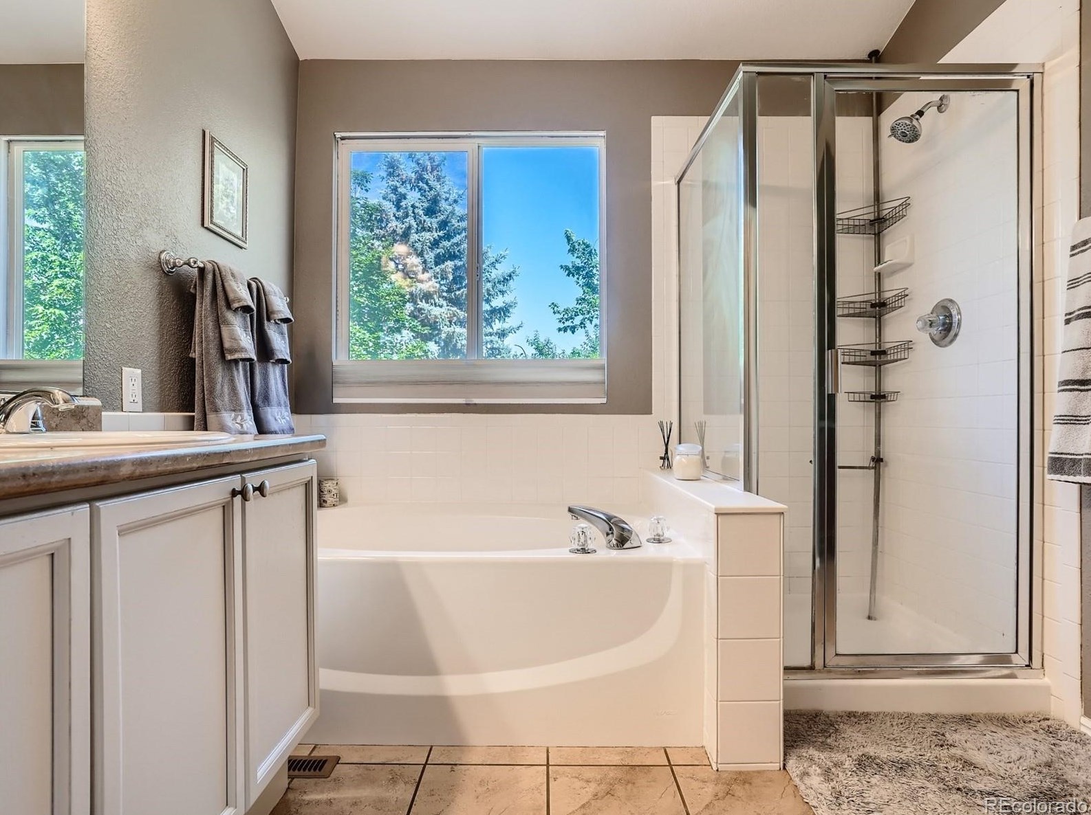 9436 Wolfe Dr, Littleton CO 80129-5796 exterior