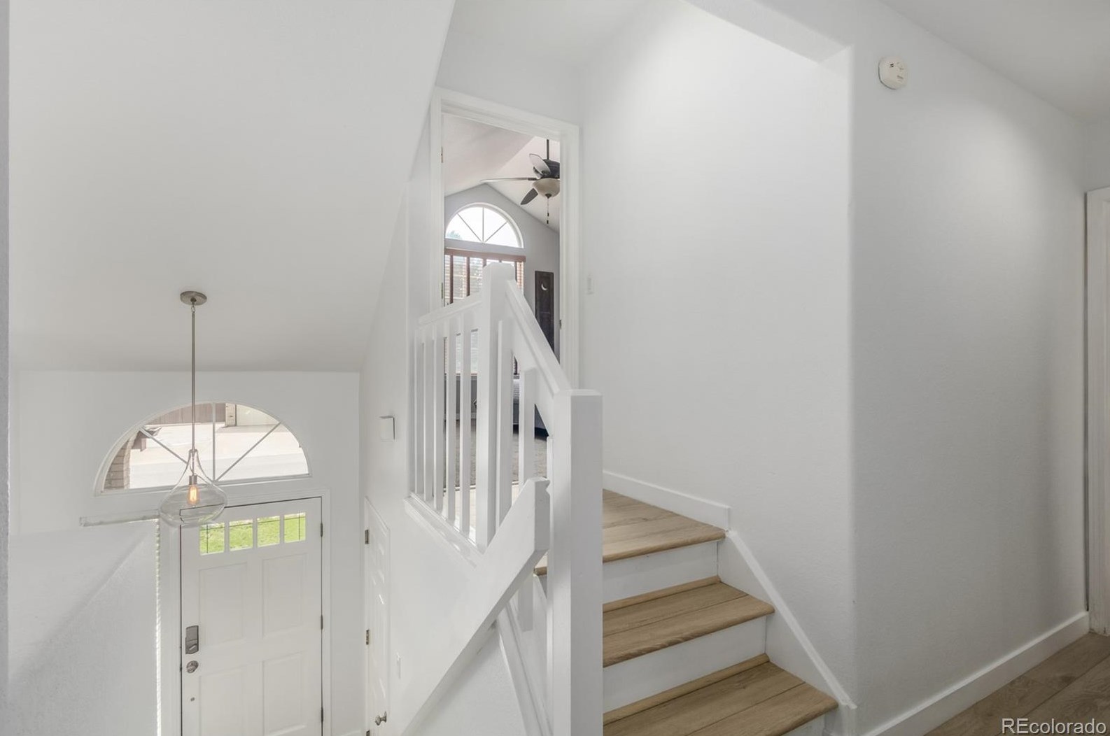 8602 Balsam St, Littleton CO 80128-6112 exterior