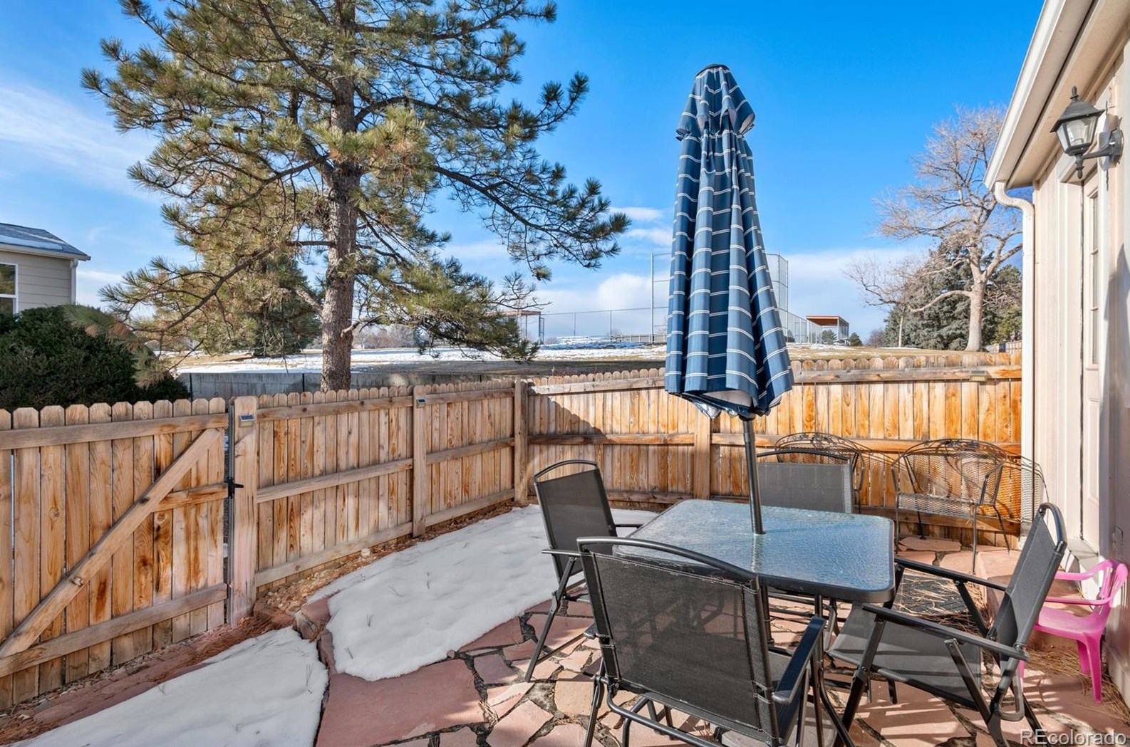 7673 Steele St, Littleton CO  80122-3365 exterior