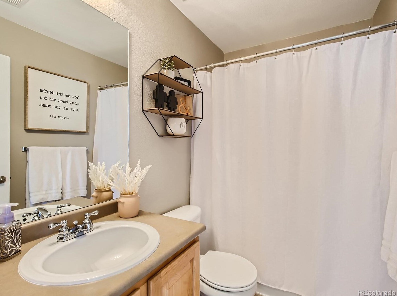 192 Peabody St, Castle Rock CO  80104-8812 exterior