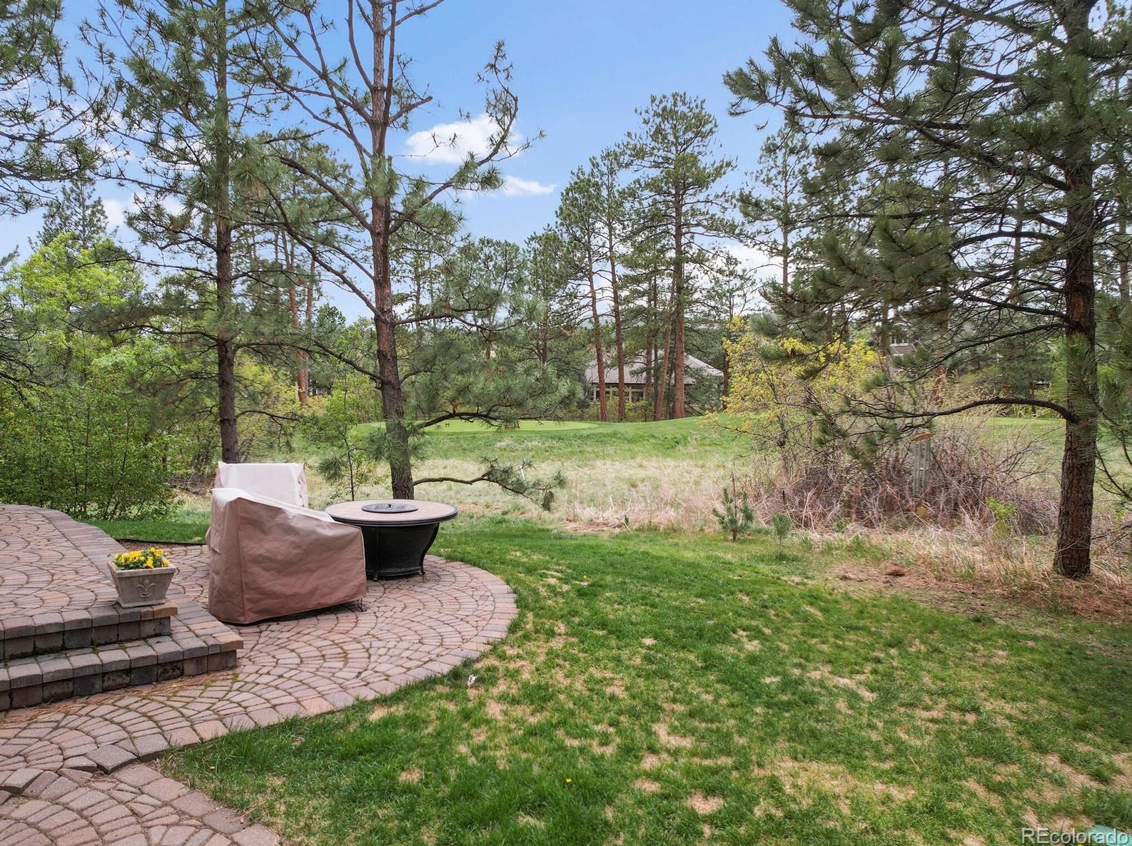 180 Ramshorn Dr, Castle Rock CO 80108-9058 exterior