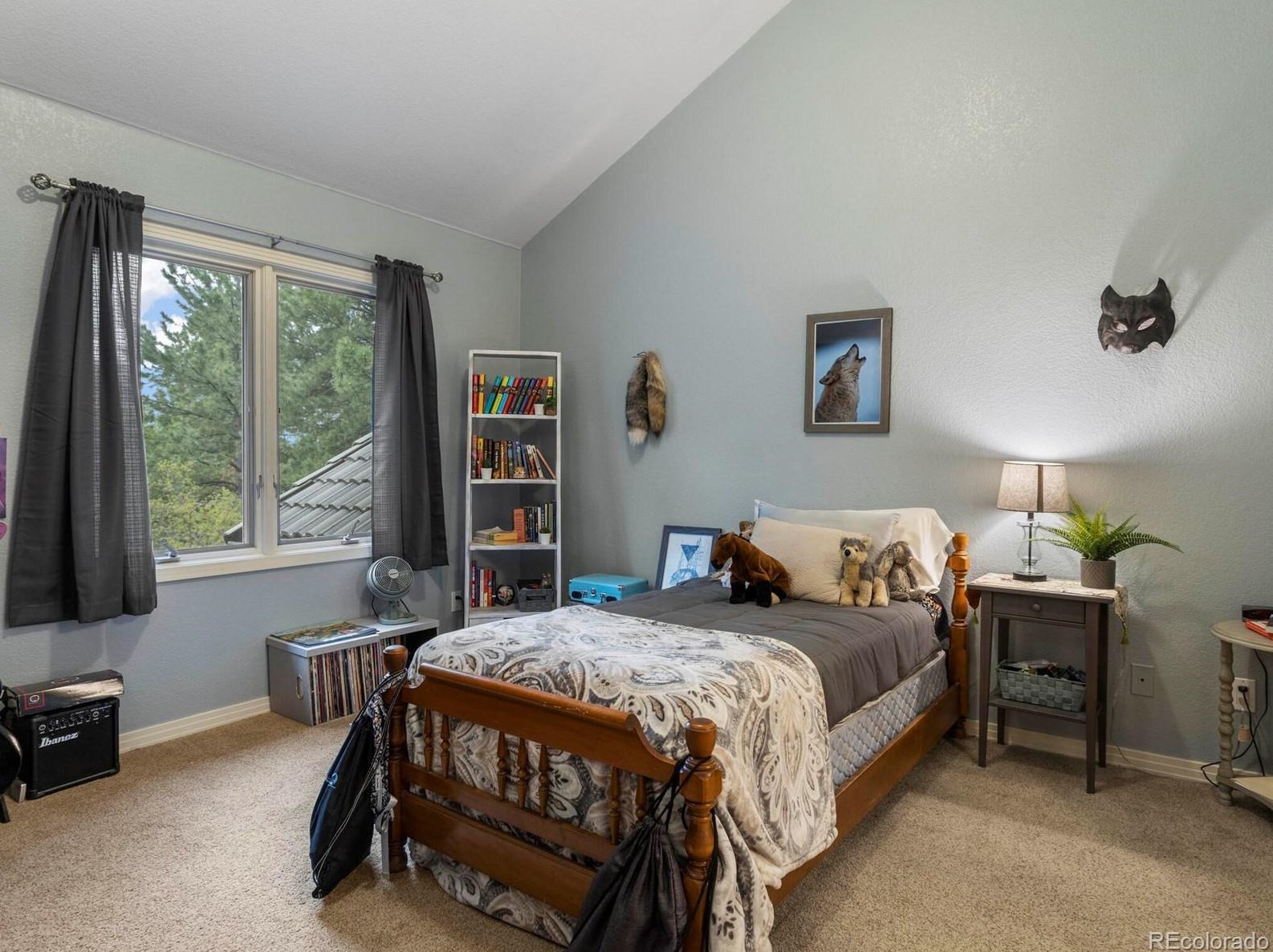 180 Ramshorn Dr, Castle Rock CO 80108-9058 exterior