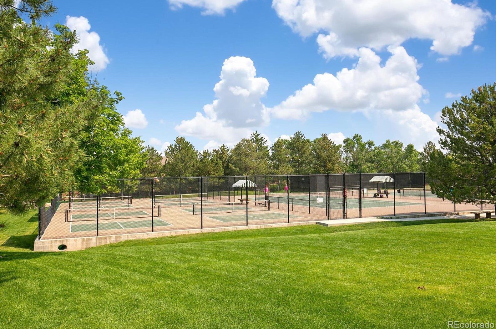 6408 Silver Mesa Dr, Littleton CO 80130-5880 exterior