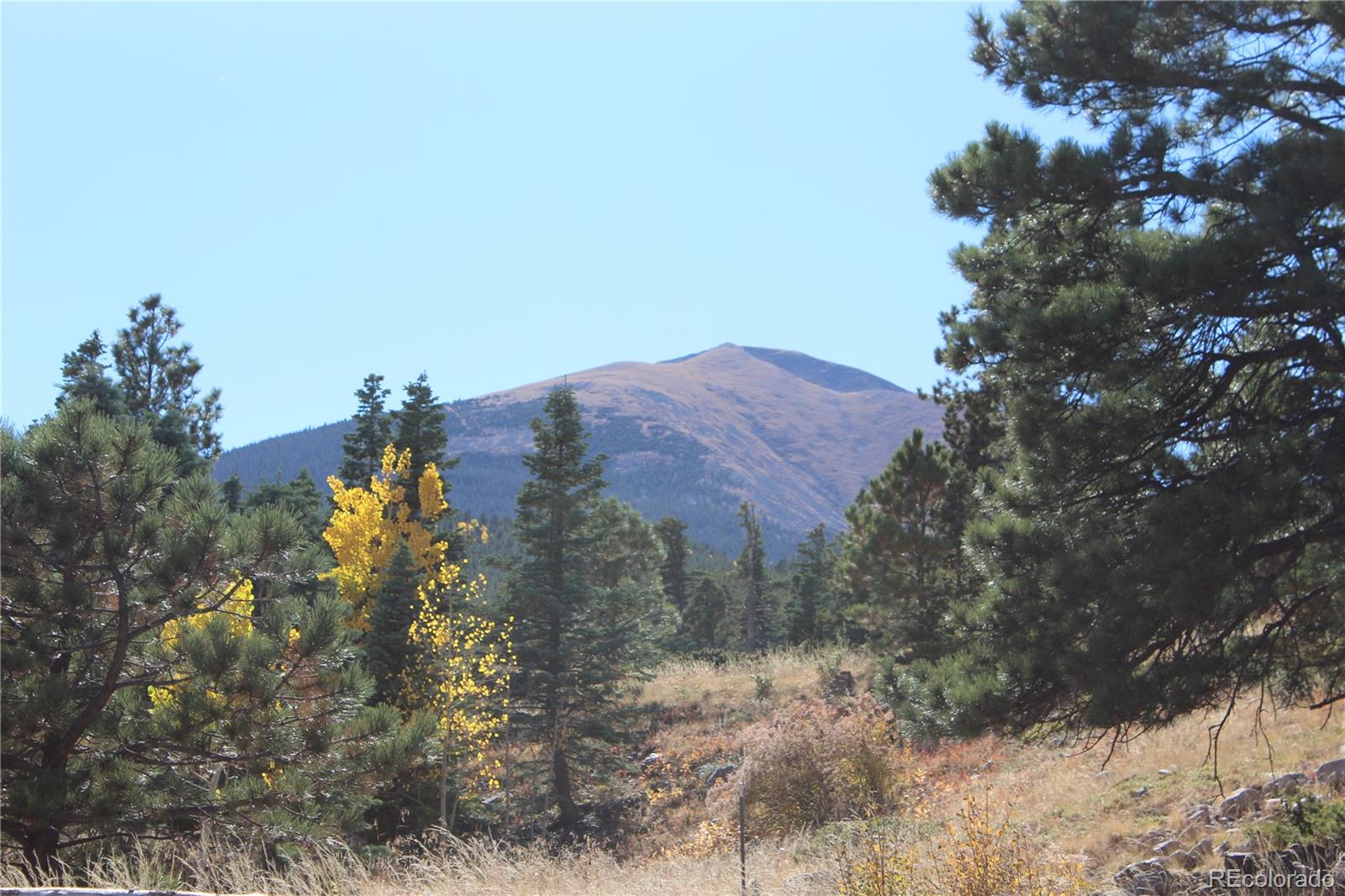 1410 Shining Mountain Rd, Westcliffe, CO 81252 MLS 4489940 Coldwell