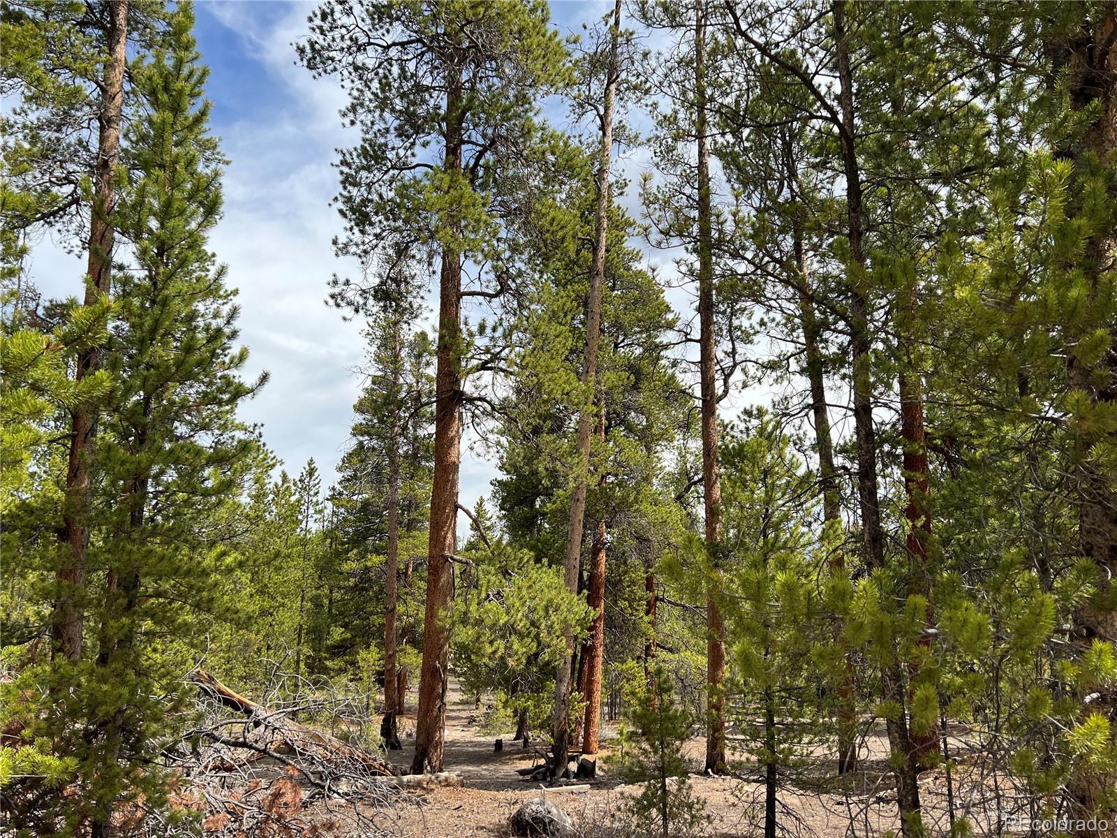 379 Hemlock Dr, Twin Lakes, CO 81251 MLS 6058393 Coldwell Banker