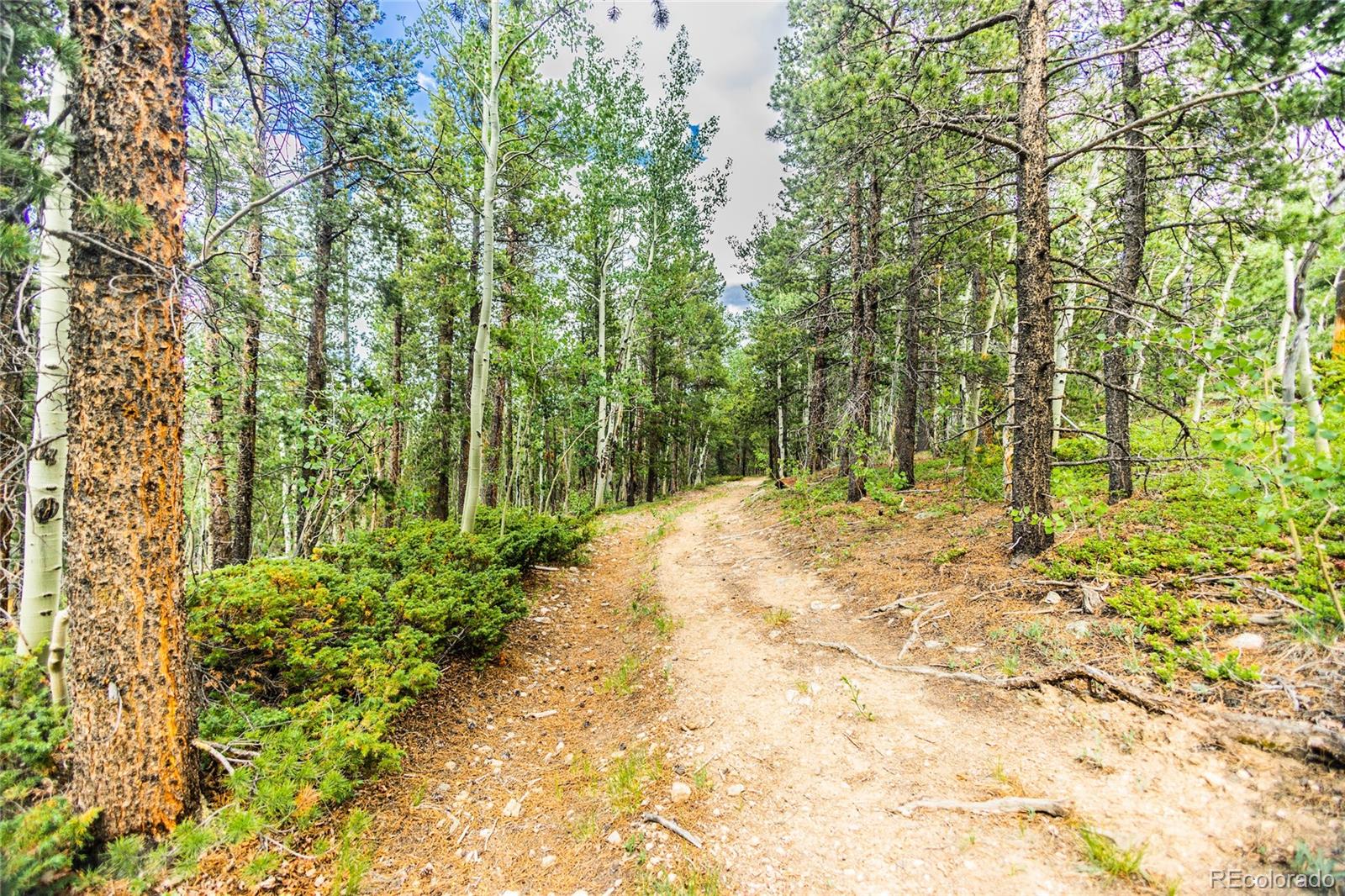 3000 Bald Mountain Rd, Central City, CO 80427 MLS 6315297 Coldwell