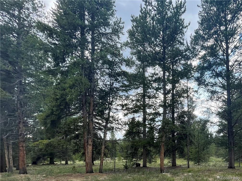 000 Daisy Dr, Leadville, CO 80461 MLS 6755652 Coldwell Banker