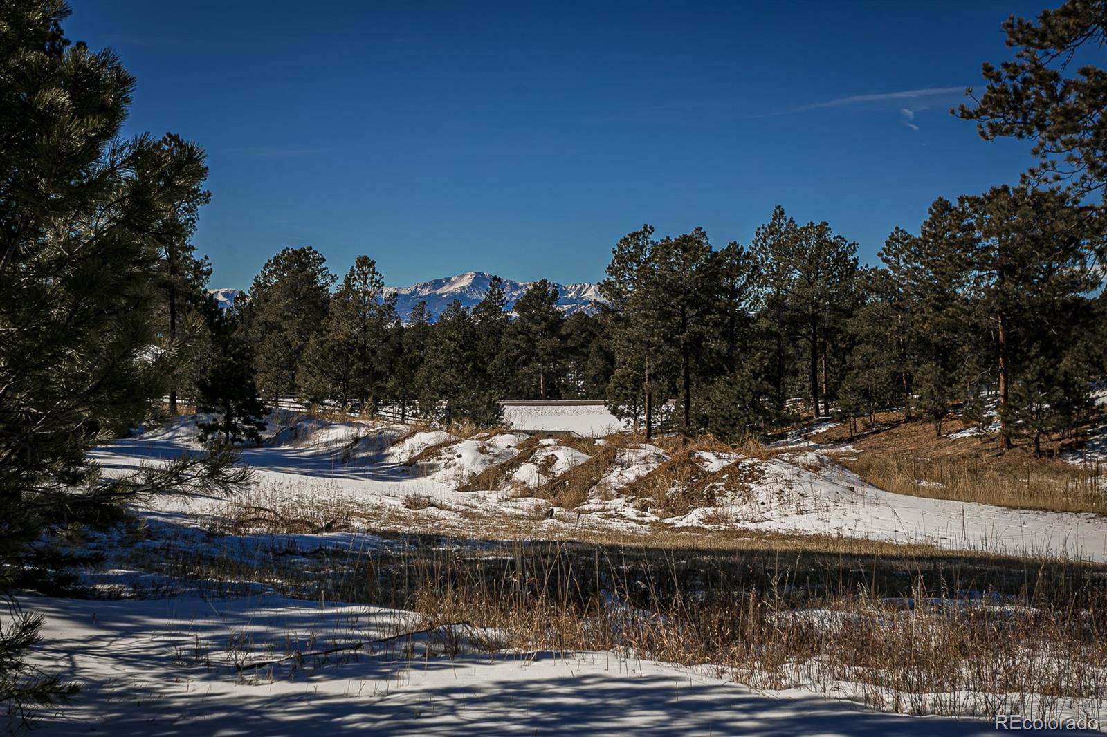 4955 Old Stagecoach Rd, Colorado Springs, CO 80908 - MLS 9077726 ...