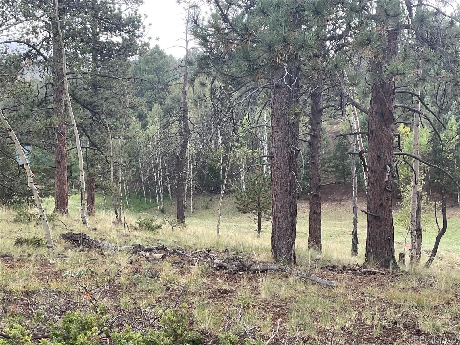 37 Summit Lake Dr, Divide, CO 80814 MLS 9544966 Coldwell Banker