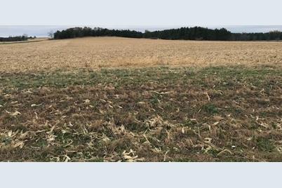 Tbd Pine Bluff (Site15) Rd NW, Pine Island, MN 55963 - Photo 3