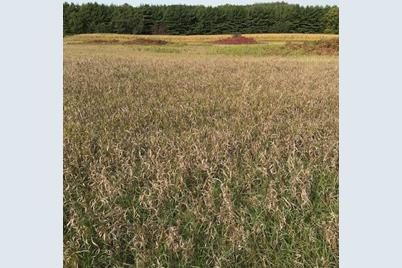 Xxxx Pine Bluff (Site15) Rd NW, Pine Island, MN 55963 - Photo 1