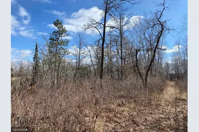 Tbd (L11,B2) Grant Hills Road SW, Bemidji, MN 56601 - Photo 5