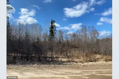 Tbd (L11,B2) Grant Hills Road SW, Bemidji, MN 56601 - Photo 3