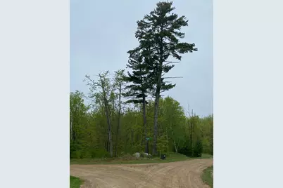 Lot 15 Bear Tract Lane NE, Longville, MN 56655 - Photo 3